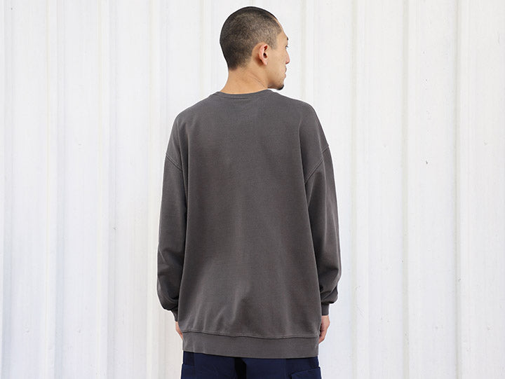 QUEST GLOBE SWEATSHIRT